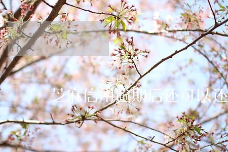 芝麻信用逾期后还可以还款吗 芝麻信用逾期后还可以还款吗