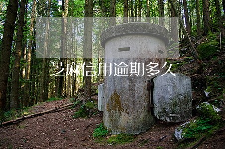 芝麻信用逾期多久