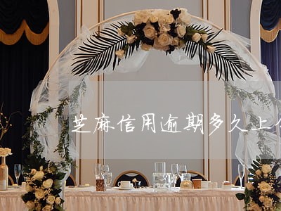 芝麻信用逾期多久上分 芝麻信用逾期多久上分