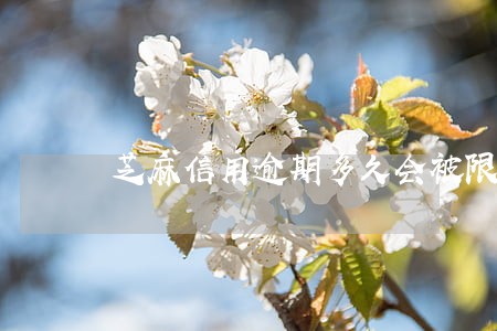 芝麻信用逾期多久会被限制出境 芝麻信用逾期多久会被限制出境