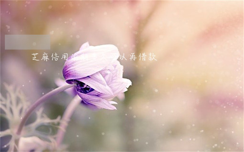 芝麻信用逾期多久可以再借款 芝麻信用逾期多久可以再借款