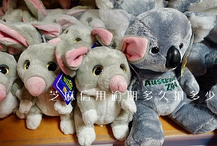 芝麻信用逾期多久扣多少分