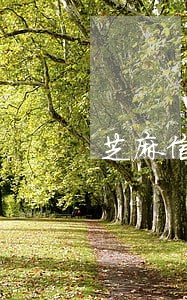 芝麻信用逾期如何办理 芝麻信用逾期如何办理