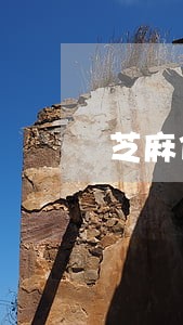 芝麻信用逾期怎么支付 芝麻信用逾期怎么支付