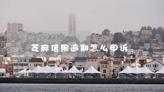 芝麻信用逾期怎么申诉