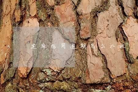 芝麻信用逾期怎么补救 芝麻信用逾期怎么补救
