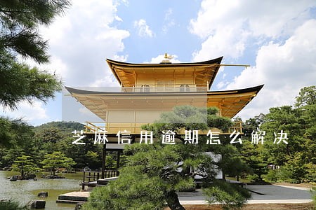 芝麻信用逾期怎么解决 芝麻信用逾期怎么解决
