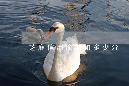 芝麻信用逾期扣多少分 芝麻信用逾期扣多少分