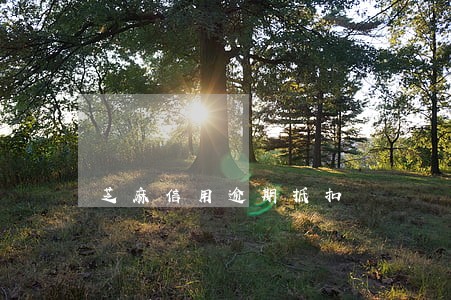 芝麻信用逾期抵扣 芝麻信用逾期抵扣