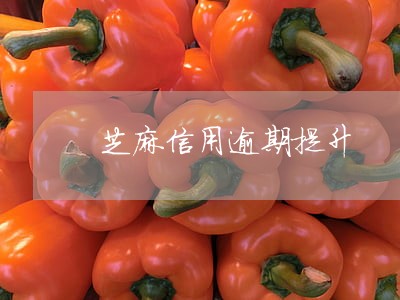 芝麻信用逾期提升 芝麻信用逾期提升