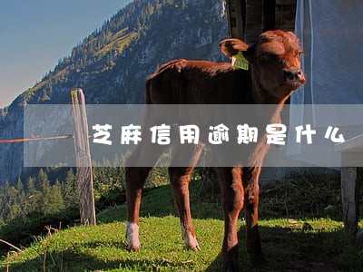 芝麻信用逾期是什么 芝麻信用逾期是什么