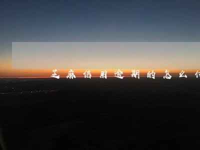 芝麻信用逾期的怎么付款 芝麻信用逾期的怎么付款