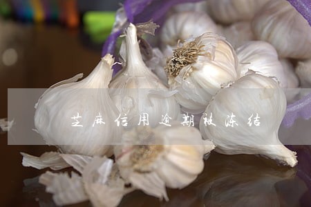 芝麻信用逾期被冻结 芝麻信用逾期被冻结