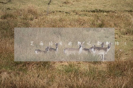 芝麻信用逾期记录删除5年以后 芝麻信用逾期记录删除5年以后