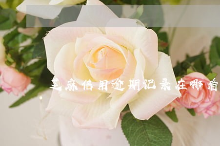 芝麻信用逾期记录在哪看 芝麻信用逾期记录在哪看