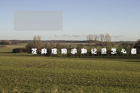 芝麻信用逾期记录怎么查询 芝麻信用逾期记录怎么查询