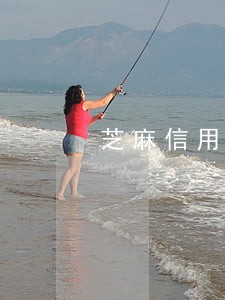 芝麻信用逾期记录能抹去吗 芝麻信用逾期记录能抹去吗