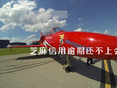 芝麻信用逾期还不上会怎么样 芝麻信用逾期还不上会怎么样