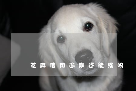 芝麻信用逾期还能涨吗 芝麻信用逾期还能涨吗