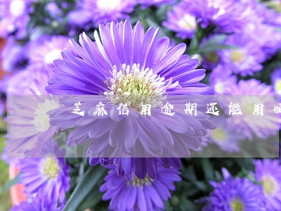 芝麻信用逾期还能用吗