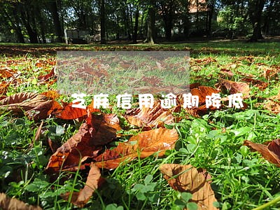 芝麻信用逾期降低 芝麻信用逾期降低