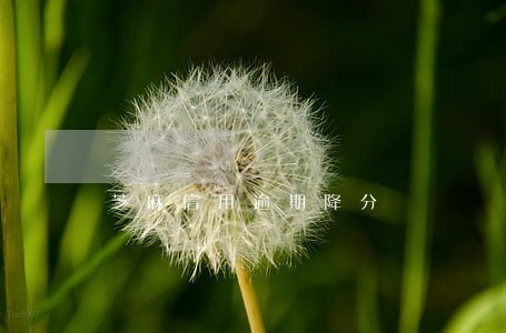 芝麻信用逾期降分 芝麻信用逾期降分