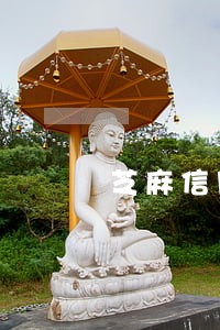 芝麻信用里小贷逾期不处理 芝麻信用里小贷逾期不处理