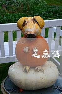 芝麻信用里面的修复逾期记录 芝麻信用里面的修复逾期记录