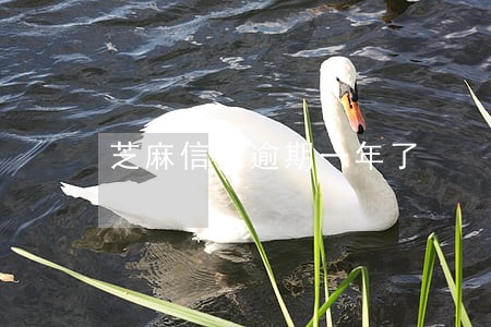 芝麻信贷逾期一年了 芝麻信贷逾期一年了