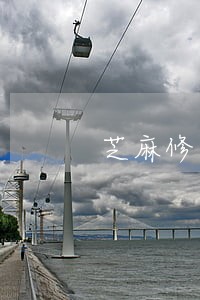 芝麻修复逾期在哪里 芝麻修复逾期在哪里