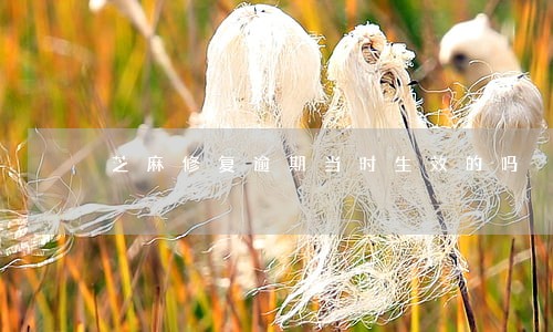 芝麻修复逾期当时生效的吗 芝麻修复逾期当时生效的吗