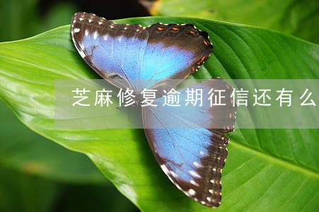 芝麻修复逾期征信还有么 芝麻修复逾期征信还有么