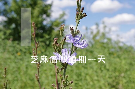芝麻借呗逾期一天 芝麻借呗逾期一天