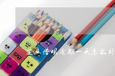芝麻借呗逾期一天怎么补救 芝麻借呗逾期一天怎么补救