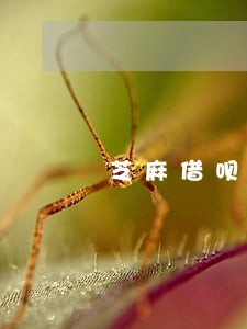 芝麻借呗逾期几天对征信有影响吗 芝麻借呗逾期几天对征信有影响吗