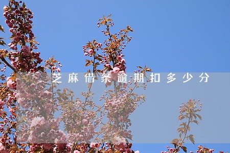芝麻借条逾期扣多少分 芝麻借条逾期扣多少分