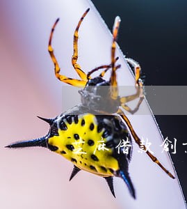 芝麻借款创业逾期 芝麻借款创业逾期