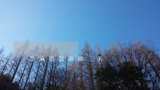 芝麻借款逾期三天 芝麻借款逾期三天