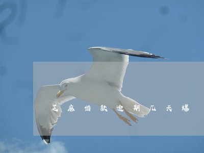 芝麻借款逾期几天爆 芝麻借款逾期几天爆