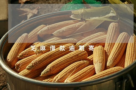 芝麻借款逾期寄