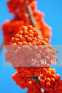 芝麻借款逾期爆通讯录 芝麻借款逾期爆通讯录
