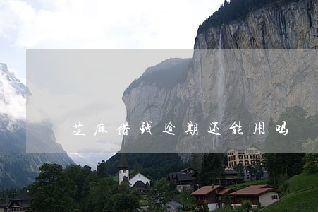 芝麻借钱逾期还能用吗