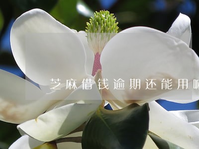 芝麻借钱逾期还能用嘛