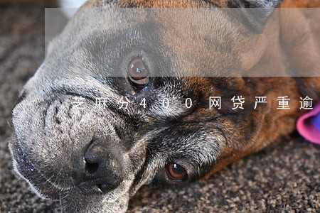 芝麻分400网贷严重逾期 芝麻分400网贷严重逾期