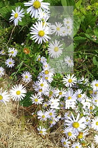 芝麻分467逾期60天了