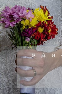 芝麻分498有逾期能下的口子 芝麻分498有逾期能下的口子