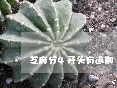 芝麻分4开头有逾期 芝麻分4开头有逾期