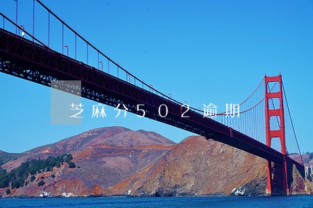 芝麻分502逾期 芝麻分502逾期