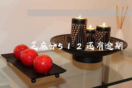 芝麻分512还有逾期 芝麻分512还有逾期