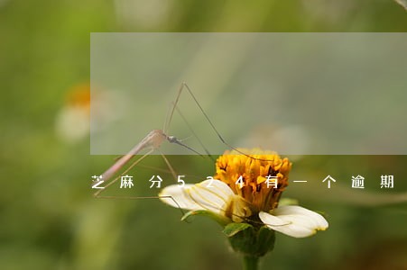 芝麻分524有一个逾期记录 芝麻分524有一个逾期记录